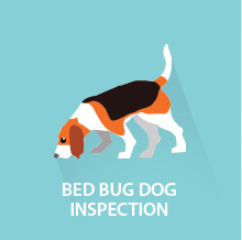 bed bug dog inspections